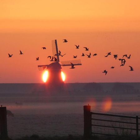 De Breek Oosthuizen Dış mekan fotoğraf